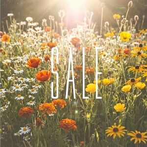 SPRING CLEANING SALE